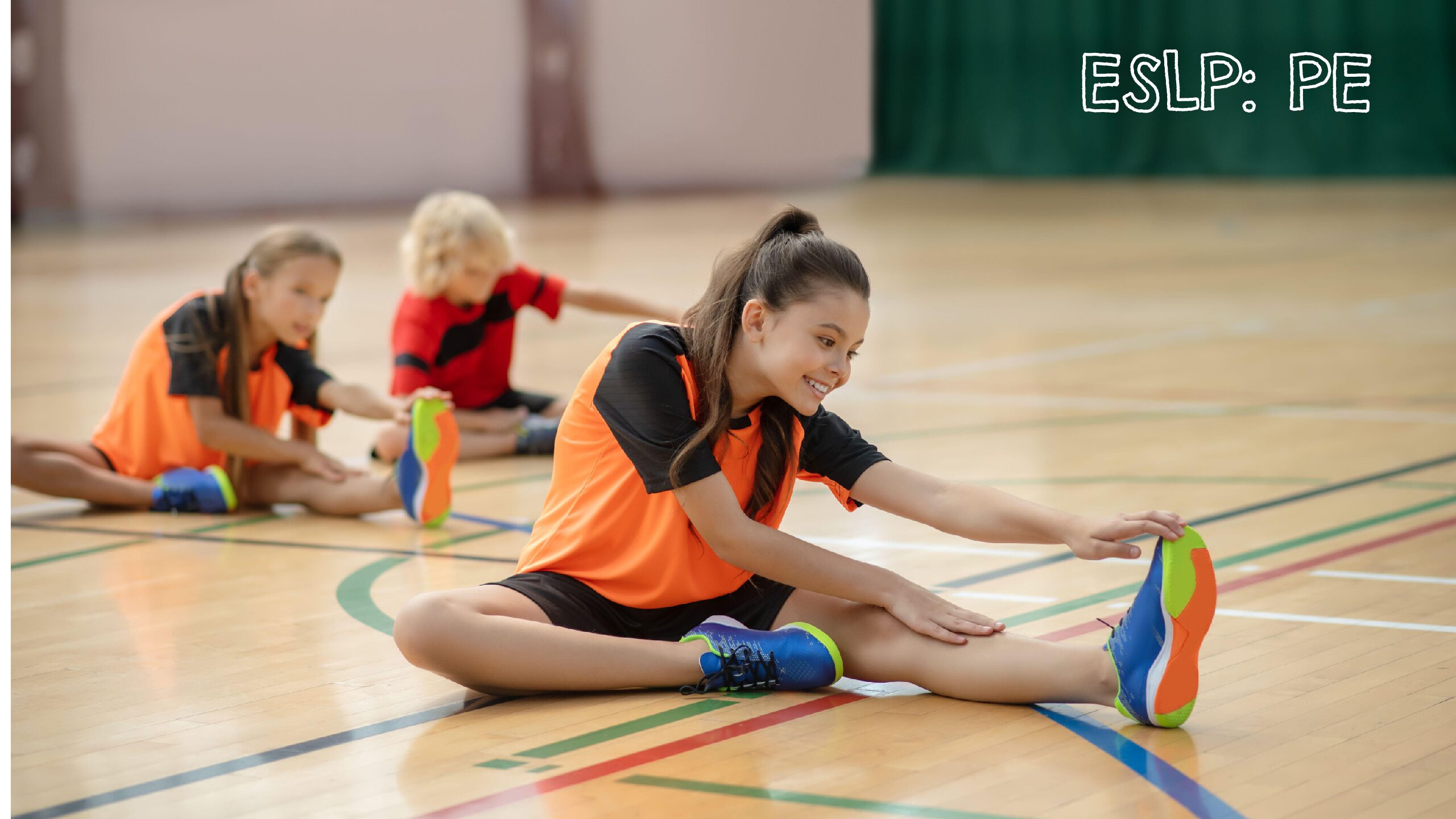 P.E. Effective Subject Leadership Programme
