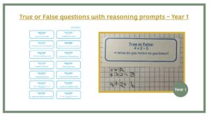 True of False Questions with Reasoning Prompts Year 1
