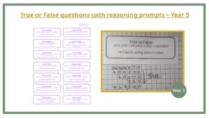 True of False Questions with Reasoning Prompts Year 5