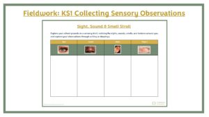 Fieldwork: KS1 Collecting Sensory Observations