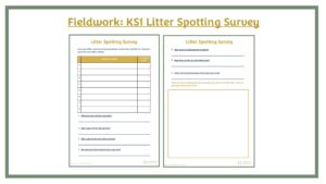 Fieldwork: KS1 Litter Spotting Survey