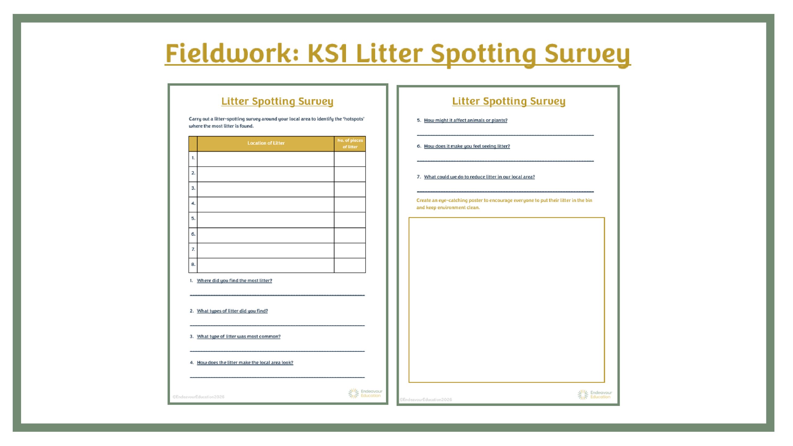 Fieldwork: KS1 Litter Spotting Survey