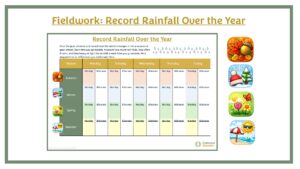 Fieldwork: KS1 Record Rainfall Over the Year