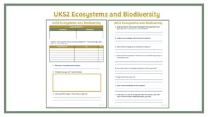 Fieldwork: UKS2 Ecosystems and Biodiversity