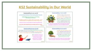 KS2 Sustainability in Our World