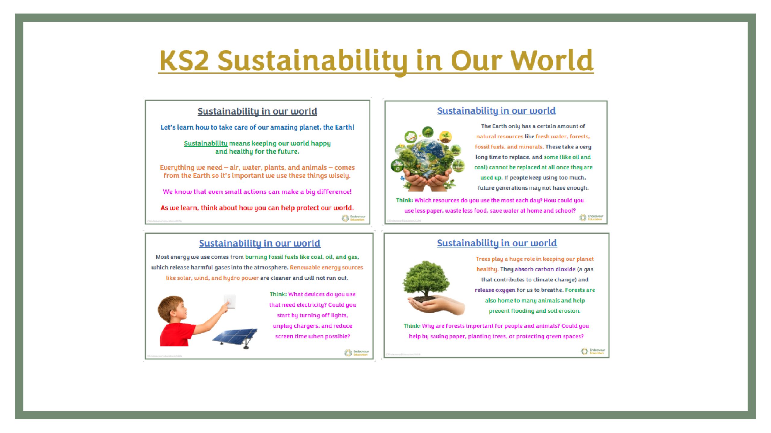 KS2 Sustainability in Our World